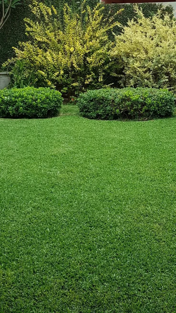 Playground Turf