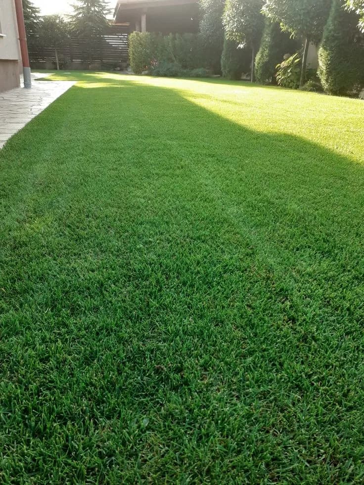 Wide manicured artificial lawn beside a modern home